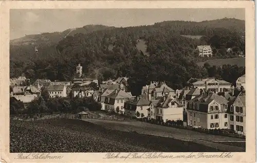 Postcard Bad Salzbrunn Szczawno-Zdrój Blick auf die Villen 1932