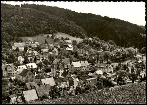 Ansichtskarte Bad Grund (Harz) Stadtpartie 1965