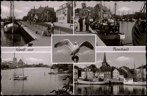 Ansichtskarte Neustadt (Holstein) Hafen und Möwe - 5 Bild 1961