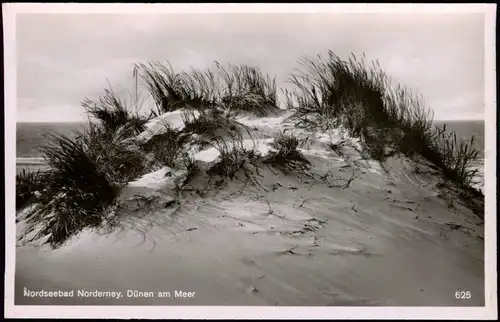 Ansichtskarte Norderney Nordsee Dünen am Meer - Fotokarte 1940