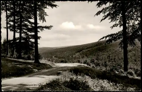 Neuhaus im Solling-Holzminden Panorama-Ansicht Solling-Landschaft 1961