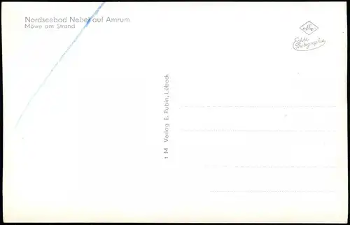 Ansichtskarte St. Peter-Ording Möwe am Strand - Fotokunst 1956