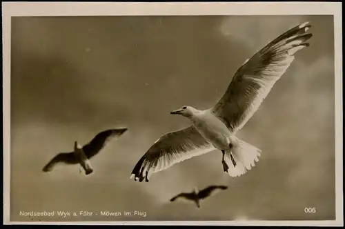 Ansichtskarte  Möwen im Flug Wyk a. Föhr 1932