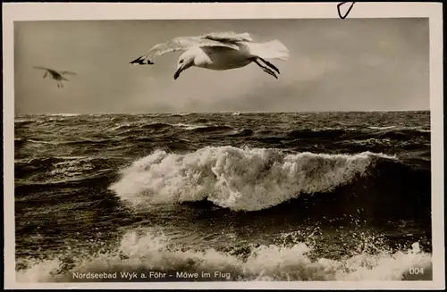 Ansichtskarte Wellen - Möwe im Flug Wyk a. Föhr
