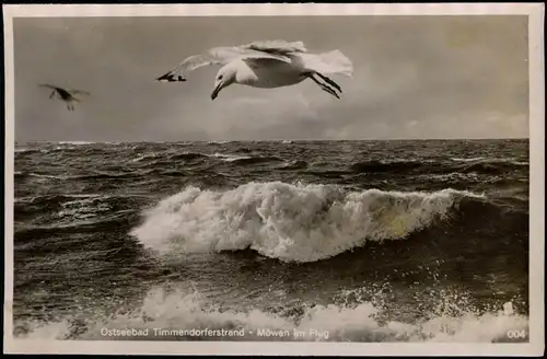 Ansichtskarte Ostseeheilbad Timmendorfer Strand - Möwe im Flug 1930