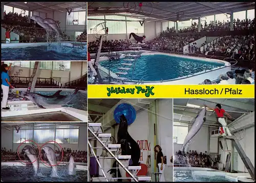 Ansichtskarte Holyday-Park Hassloch Holiday-Park Mehrbild Delphine 1979