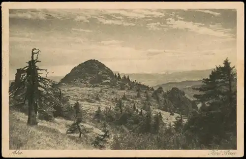 Ansichtskarte Arber (Bayr. Wald) Arber Umlandpartie 1928 gel. Rumburk