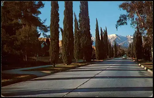 Postcard Banning California San Gorgonio Road 1973