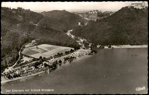 Waldeck (am Edersee) Der Edersee mit Schloß Waldeck Luftbild 1956