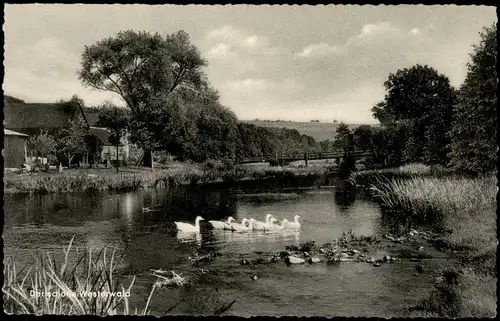 Ansichtskarte Westerwald Fluss 1961  gel. Landpoststempel Deesen über Selters