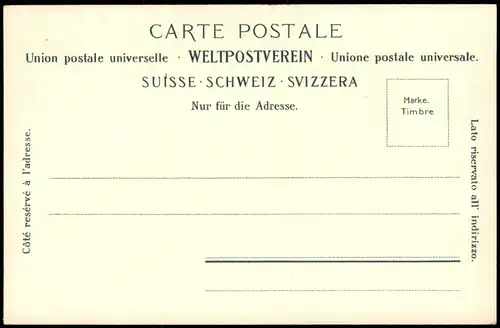 Ansichtskarte Axenstrasse Partie a. d. Axenstrasse. 1906