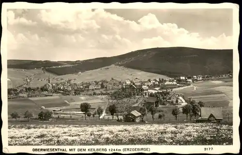 Ansichtskarte Oberwiesenthal Stadt, Blumenwiese - Foto Hering 1936