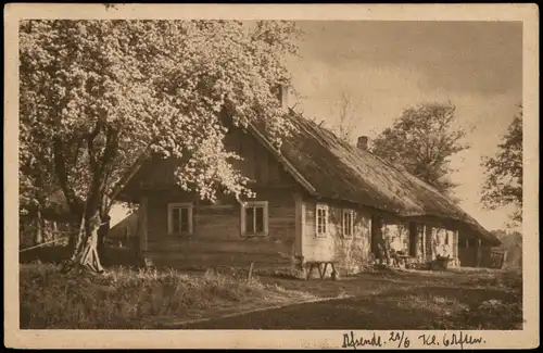 Ansichtskarte  Stimmungsbild: Ort Holzhütte Baumblüte 1923