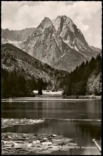 Ansichtskarte Garmisch-Partenkirchen Risser-See/Riessersee - Seerosen 1959