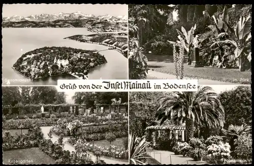 Ansichtskarte Konstanz 4 Bild Insel Mainau - Park und Luftbild 1955