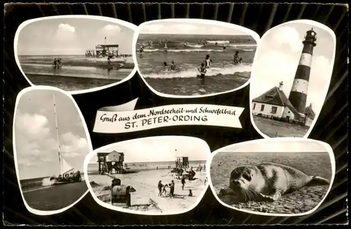 St. Peter-Ording Mehrbildkarte mit Strand Leuchturm Robbe uvm. 1968