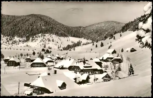 Menzenschwand-St. Blasien Panorama-Ansicht Blick zum Hochkopf und Rucken 1965
