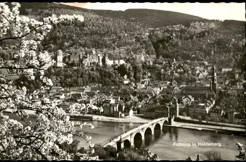 Ansichtskarte Heidelberg Panorama-Ansicht - Frühling vom Philosophenweg 1965