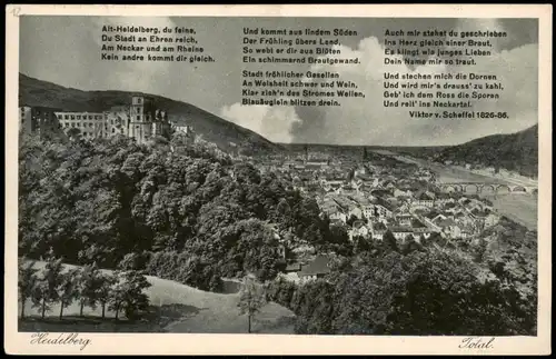 Heidelberg Panorama-Ansicht, Total-Ansicht, Schloss & Stadt Blick 1920