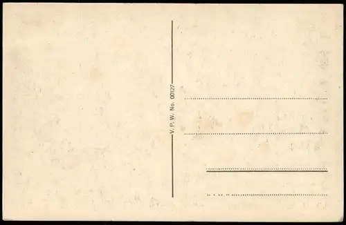 Heidelberg Panorama-Ansicht, Total-Ansicht, Schloss & Stadt Blick 1920