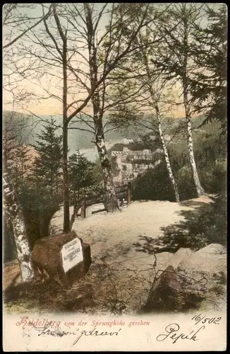 Ansichtskarte Heidelberg Panorama-Ansicht von der Sprunghöhe gesehen 1902