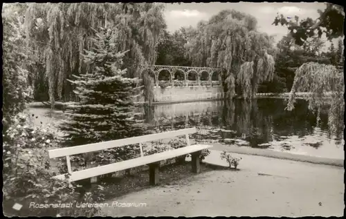 Ansichtskarte Uetersen Rosarium - Fotokarte 1962