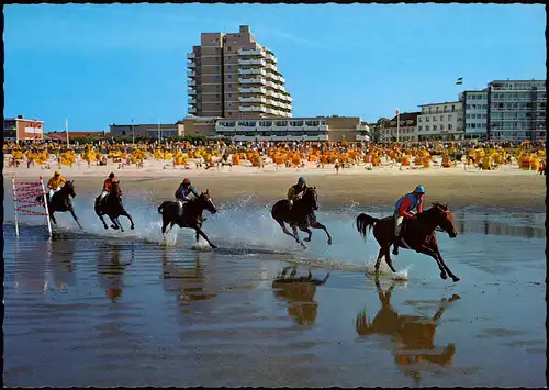 Ansichtskarte Duhnen-Cuxhaven ,,Das Pferderennen auf dem Meeresgrund" 1988