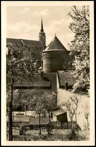 Ansichtskarte Bautzen Budyšin Dom St. Petrikirche 1953