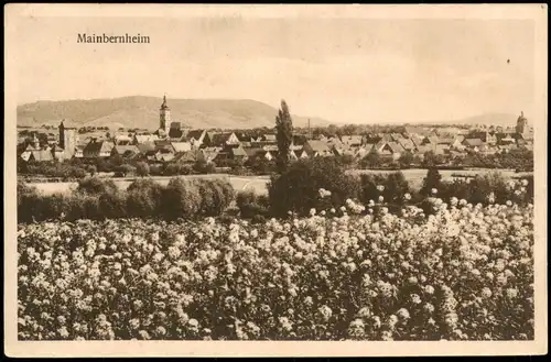Ansichtskarte Mainbernheim Panorama Gesamtansicht 1920