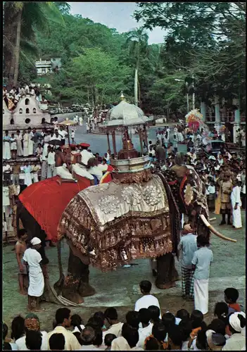 Postcard Kandy Typen Umzug Elefant 1980  gel. Briefmarke Exoten