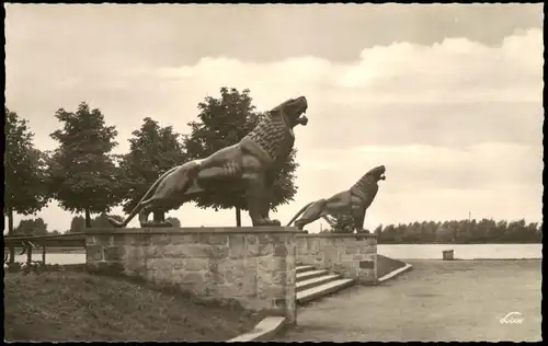 Ansichtskarte Hannover Löwen am Maschsee 1950
