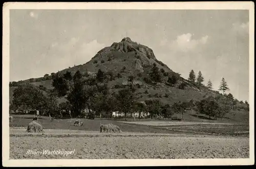 Rhön (Allgemein) Rhön-Wachtküppel, Weide-Wiese mit Kühen 1929