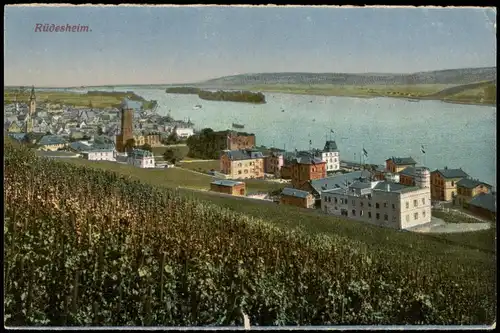 Ansichtskarte Rüdesheim (Rhein) Blick vom Weinberg auf die Stadt 1922