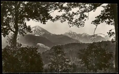 Ansichtskarte Traunstein Umlandansicht Berge 1929