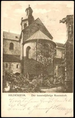 Ansichtskarte Hildesheim Rosenstock Der tausendjährige Rosenstock 1903