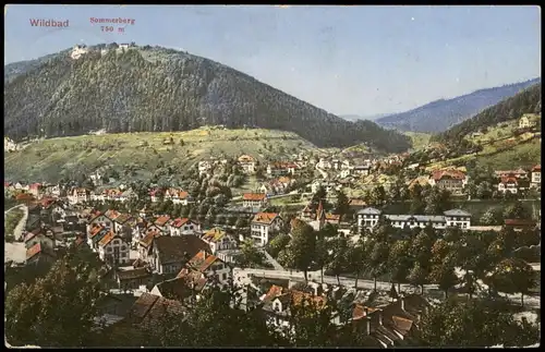 Ansichtskarte Bad Wildbad Blick über die Stadt zum Sommerberg 1916