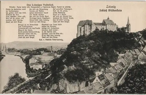 Ansichtskarte Leisnig Schloss Mildenstein - Stadt, Fabrik 1912