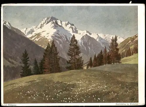 Stimmungsbild Frühling im Stubaital (Wiechmann-Bildkarte) 1935