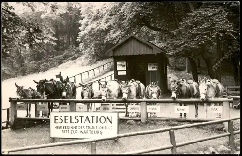 Ansichtskarte Eisenach ESELSTATION RITT ZUR WARTBURG 1950