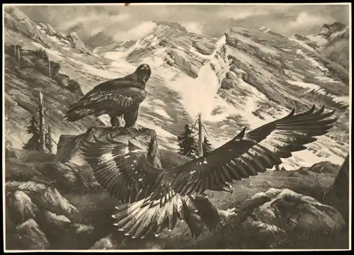 Ansichtskarte  Tiere - Vögel Künstlerkarte Mich. Kiefer "Steinadler" 1940