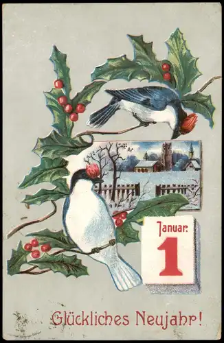 Neujahr Sylvester New Year Vögel 1917 Feldpost Briefstempel Heidelberg Lazarett