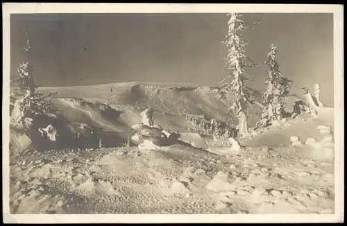 Feldberg (Schwarzwald) Tannenfriedhof am Feldberg i. Schwarzwald 1924