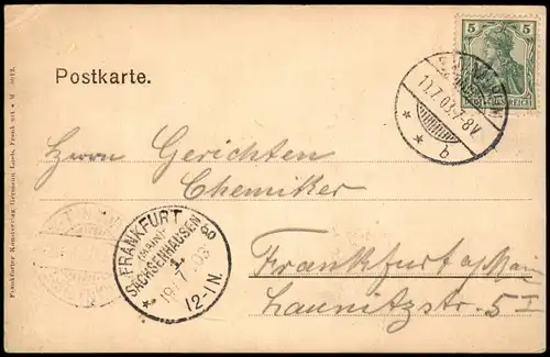 Ansichtskarte Bad Nauheim Partie  im Park 1903  Ankunftsstempel Sachsenhausen