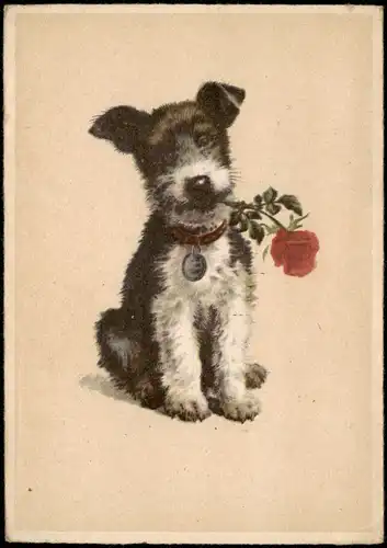 Ansichtskarte  Tiere - Hunde: Hund mit Blume Rose (Künstlerkarte) 1947