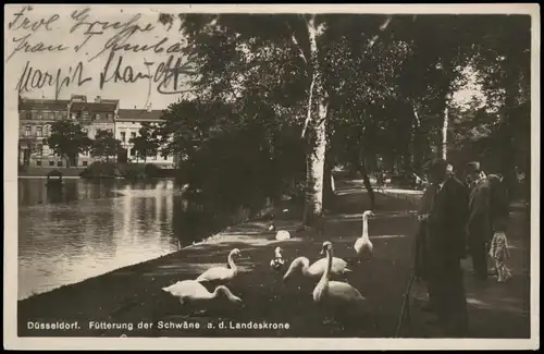 Ansichtskarte Düsseldorf Fütterung der Schwäne a. d. Landeskrone 1932