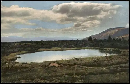 Stimmungsbild Riesengebirge Auf der Pantschewiese mit Korkonosch 1920