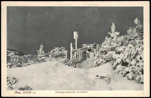 Ansichtskarte Reichenau an der Rax Hedwig-Aussicht, Losbühel - Winter 1917