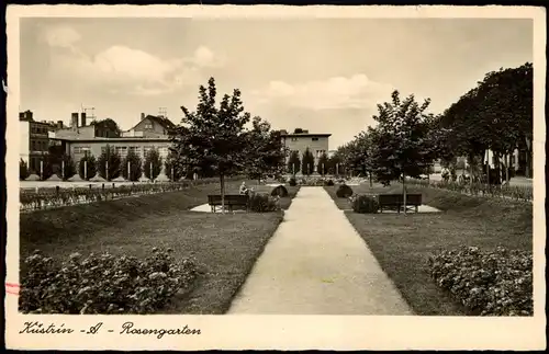 Ansichtskarte Küstriner Vorland Ortsansicht, Rosengarten 1940