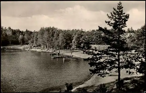 Ansichtskarte Bad Liebenwerda Waldbad 1966/1965 t mit Schnapszahl Datum 6.6.66