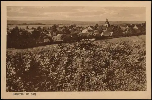 Ansichtskarte Dankerode Panorama-Ansicht; Ort im Harz 1910